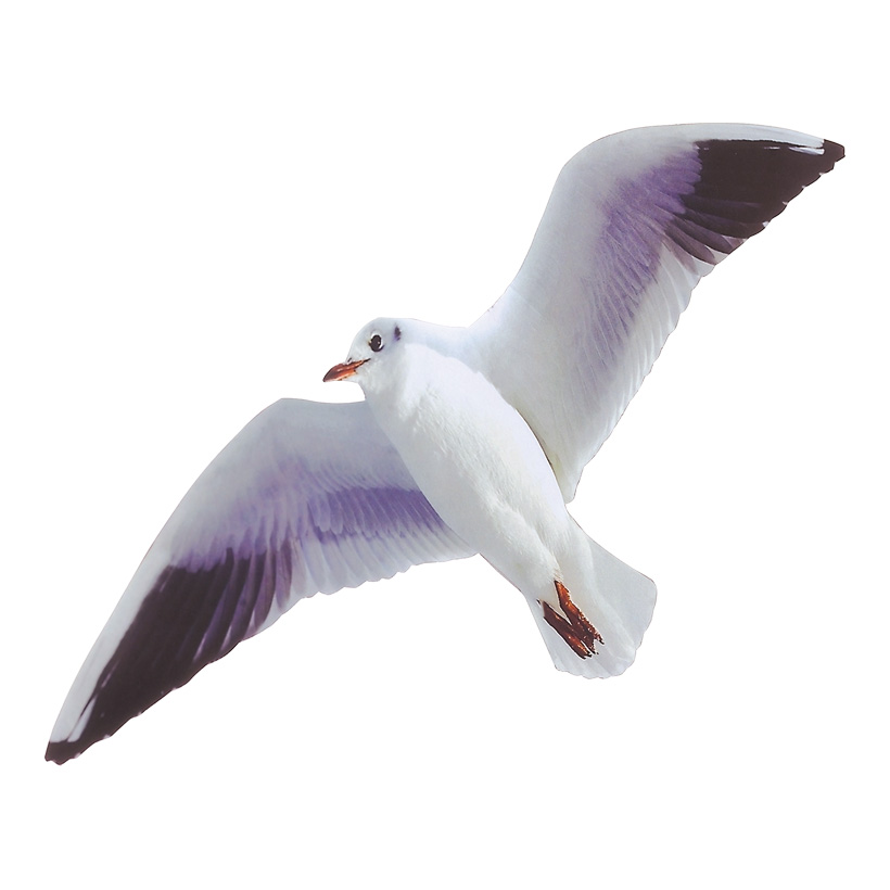# Möwe fliegend 39 cm Spannweite, 15 cm hoch, Karton beidseitig bedruckt # Möwe fliegend 39 cm Spannweite, 15 cm hoch, Karton beidseitig bedruckt